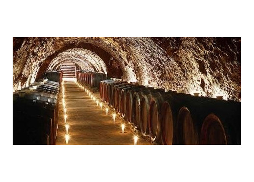 Bodegas Vega Sicilia, Winzer aus Ribera del Duero